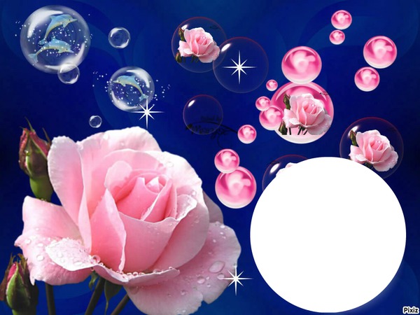Rose sweet Photomontage