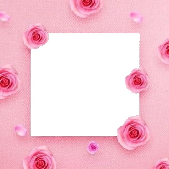 marco y rosas rosadas. Fotomontaggio