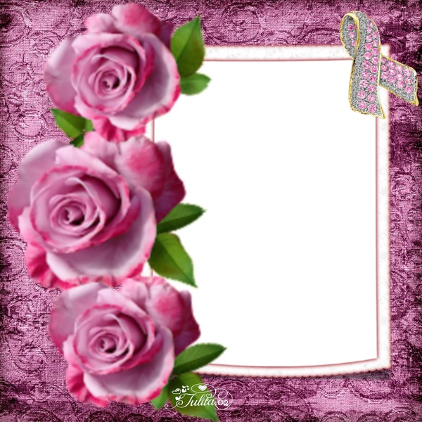 Julita02 Rosas y listón rosa Photo frame effect