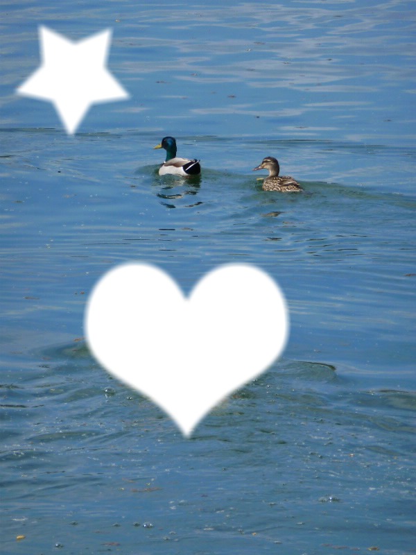 love water Montage photo