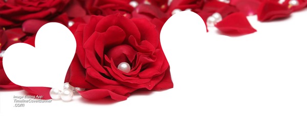 2 coeur fleur rouge Photo frame effect