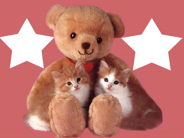 ours avec 2 chatons 2 photos Fotomontage