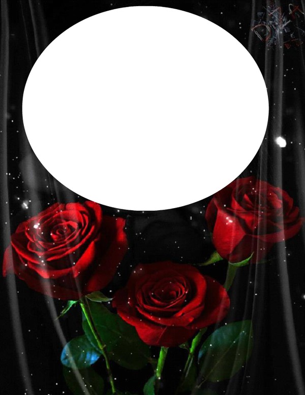 roses rouges Montage photo