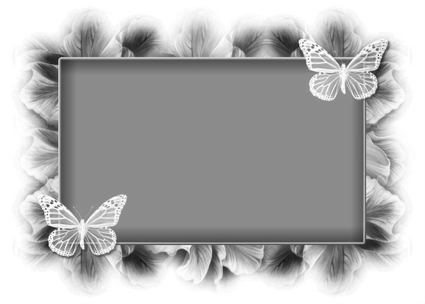 papillon Fotomontáž