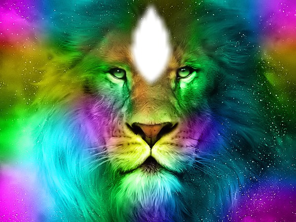 mon lion Fotomontasje