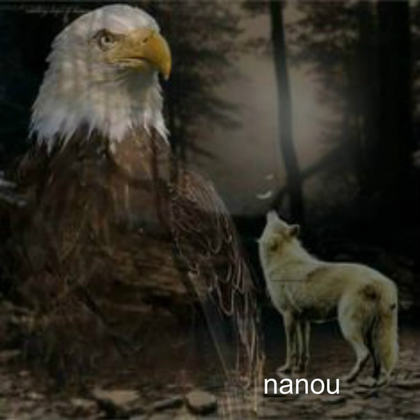nanou Photomontage