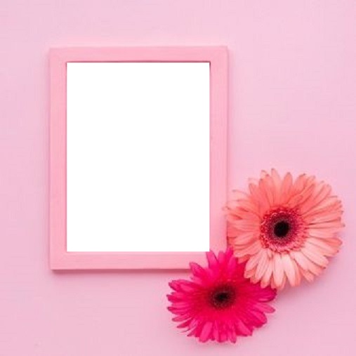 marco rosado y flores, fondo rosado. Fotomontáž
