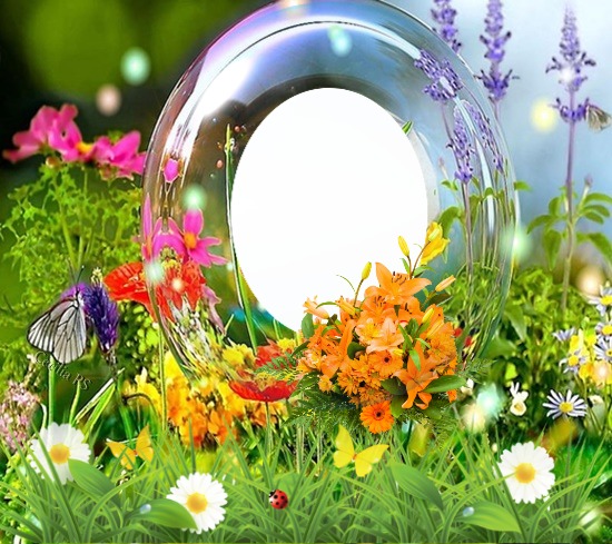 Cc Flores y burbujas Fotomontage