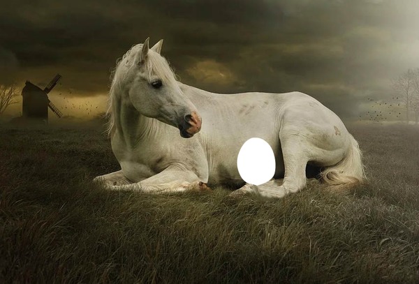 Horse Фотомонтаж