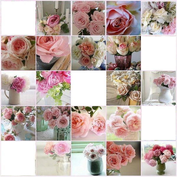 Roses rose Fotomontaggio