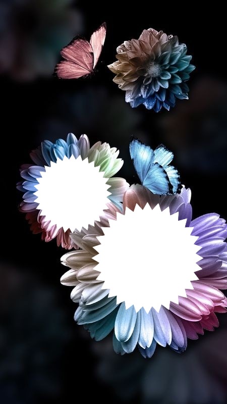 Fleurs 🌺 Fotomontaggio