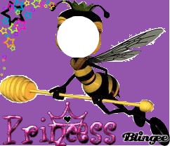 bee Photo frame effect