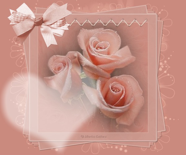 CB CATHY PASTEL ROSE Photo frame effect