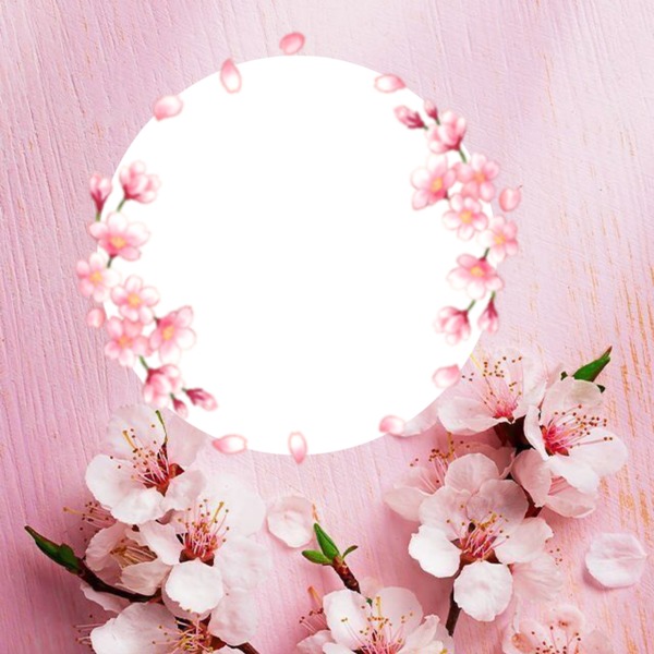 marco flores y fondo rosado. フォトモンタージュ