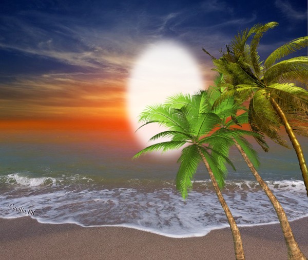 Cc Mar palmeras Fotomontagem