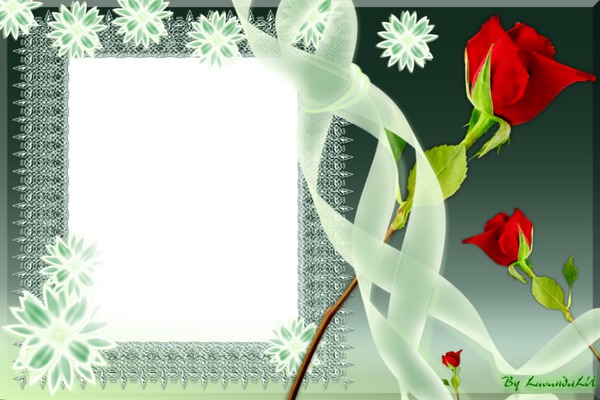 Red Rose Frame Montage photo