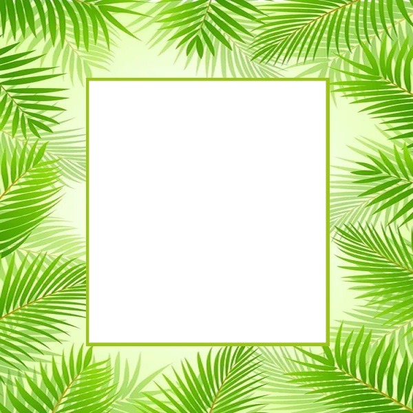 marco de palmas verdes. Fotomontaža