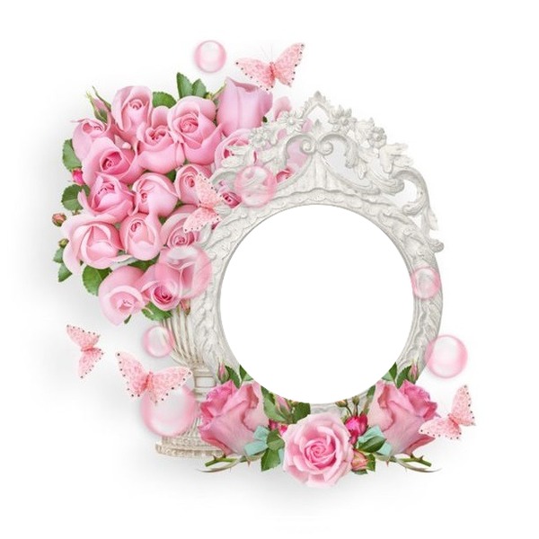 marco circular, rosas rosadas y mariposas. Montaje fotografico