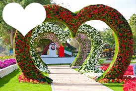 jardim de corações com flores Fotomontasje