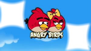 angry birds Photo frame effect