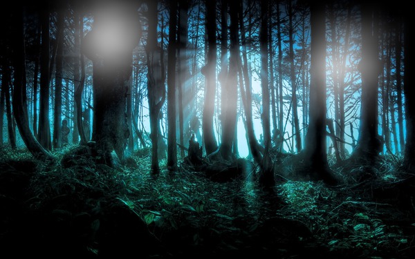 Forêt sombre Fotomontasje