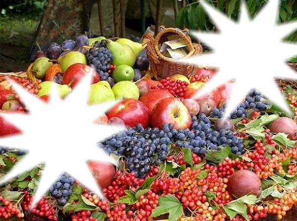 Panier de fruits Fotomontage