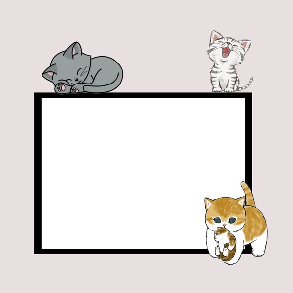 marco gatitos. Fotomontage