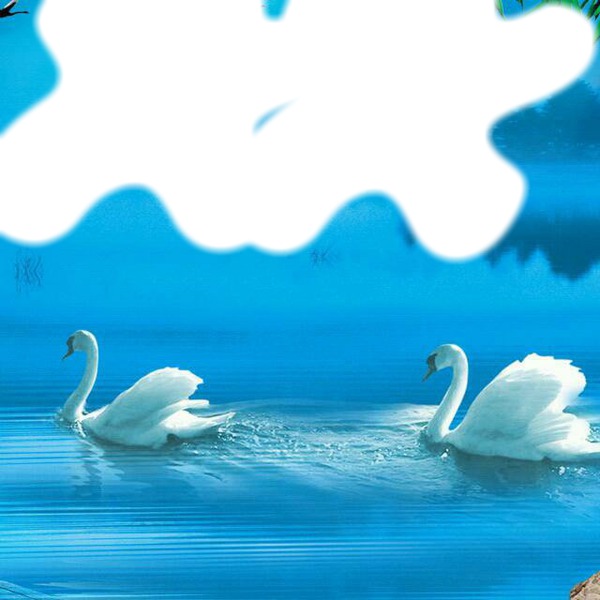 Swan love Fotomontažas