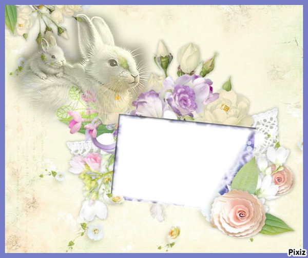 lapins Photo frame effect