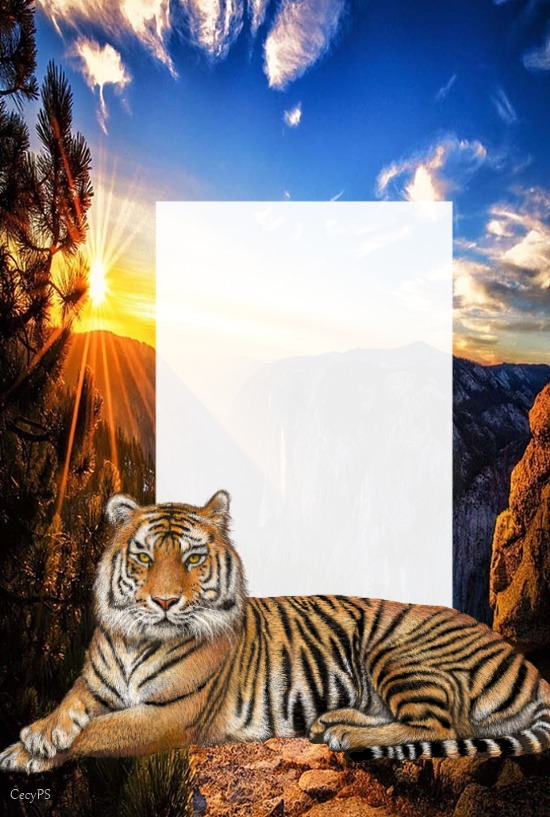Cc Tigre Fotomontage