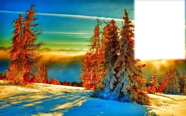 Paysage d'hiver avec neige Фотомонтажа