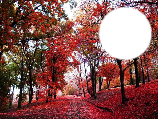 couleur d'automne Fotomontáž