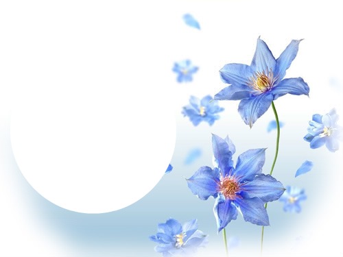 Fleur bleue フォトモンタージュ