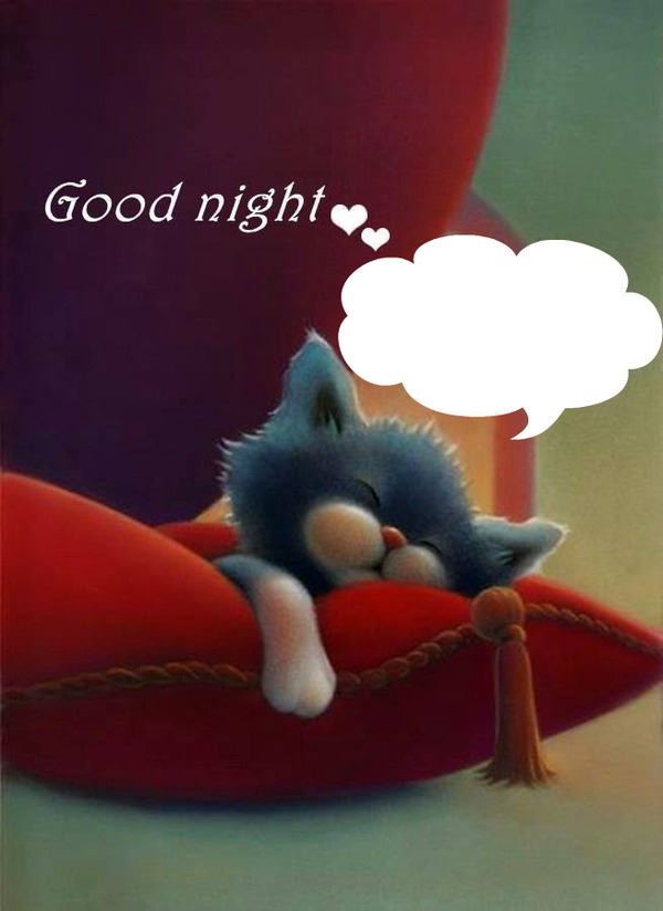 good night avec un chat qui dort 1 photo Фотомонтажа