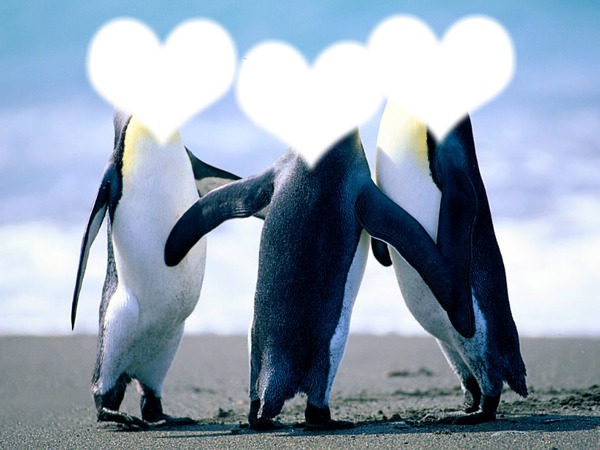 pingouin Fotomontasje
