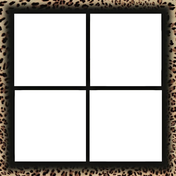 leopard Montage photo