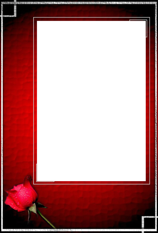 cadre rouge avec rose Photomontage