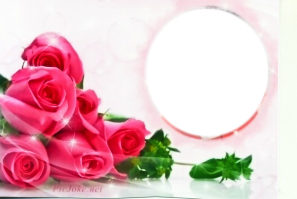bouquet  de rose Photo frame effect
