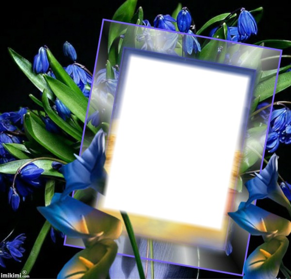 flores azules Photomontage