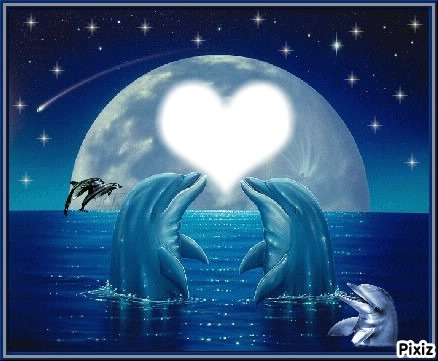 coeur dauphin Montaje fotografico