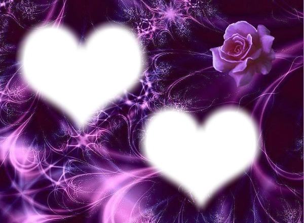 rosa violeta2 Montaje fotografico