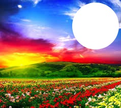 você ao por do sol com as flores Photomontage