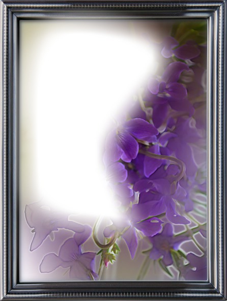 violets Photomontage