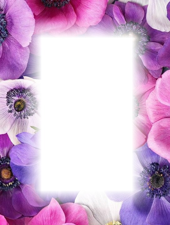purple flowers Fotomontage