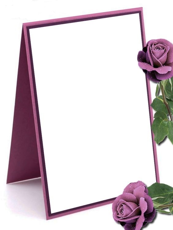 marco y rosas lila Fotomontaż