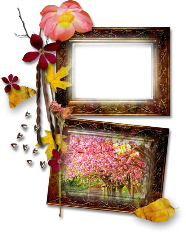 cadre d'automne Photo frame effect