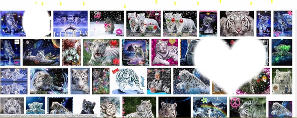 les tigre blanc Fotomontaggio