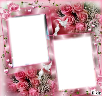 pink Photo frame effect