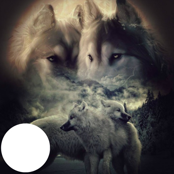 love wolves フォトモンタージュ