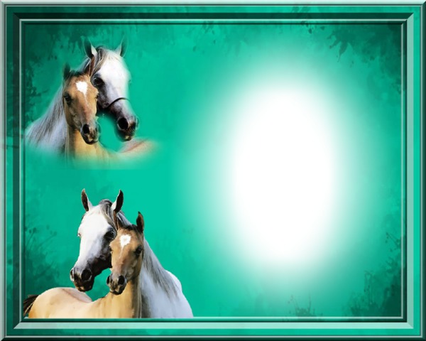 Cadre chevaux Фотомонтаж